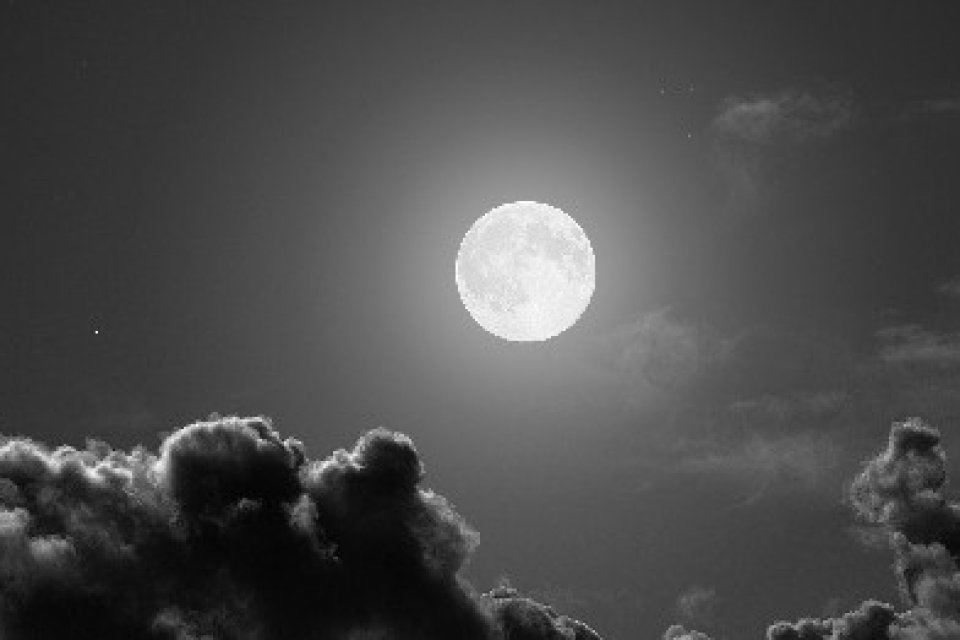Moon