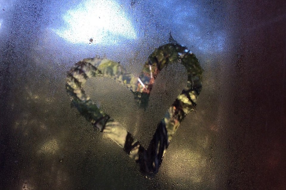 Heart