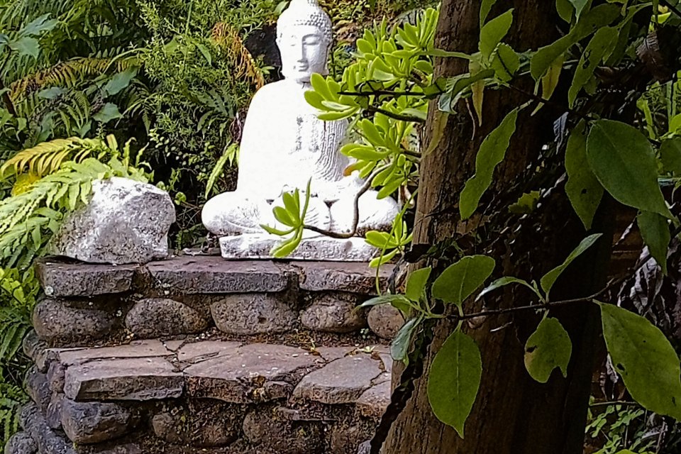 White Buddha