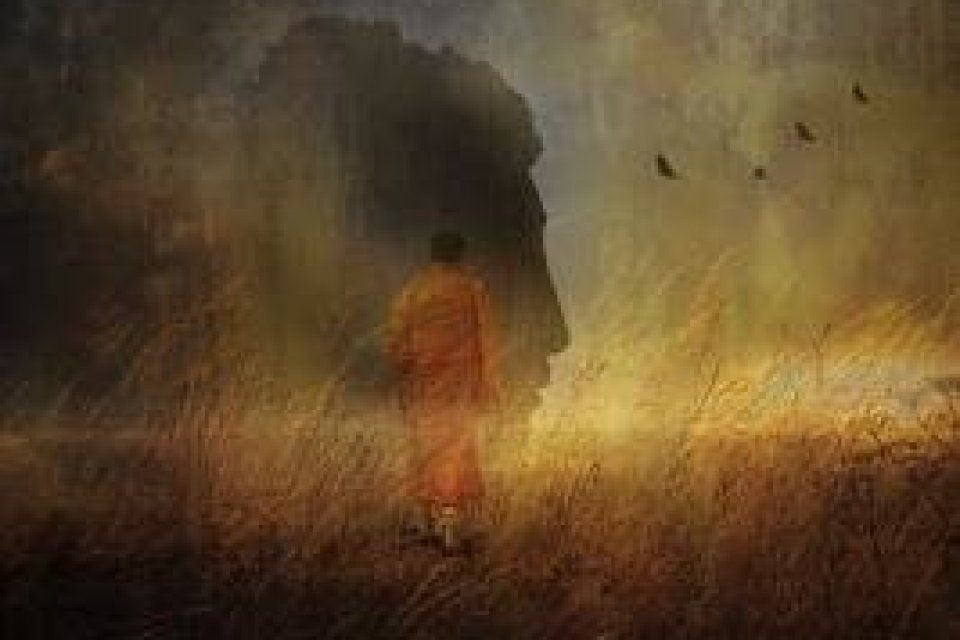 buddhainfield