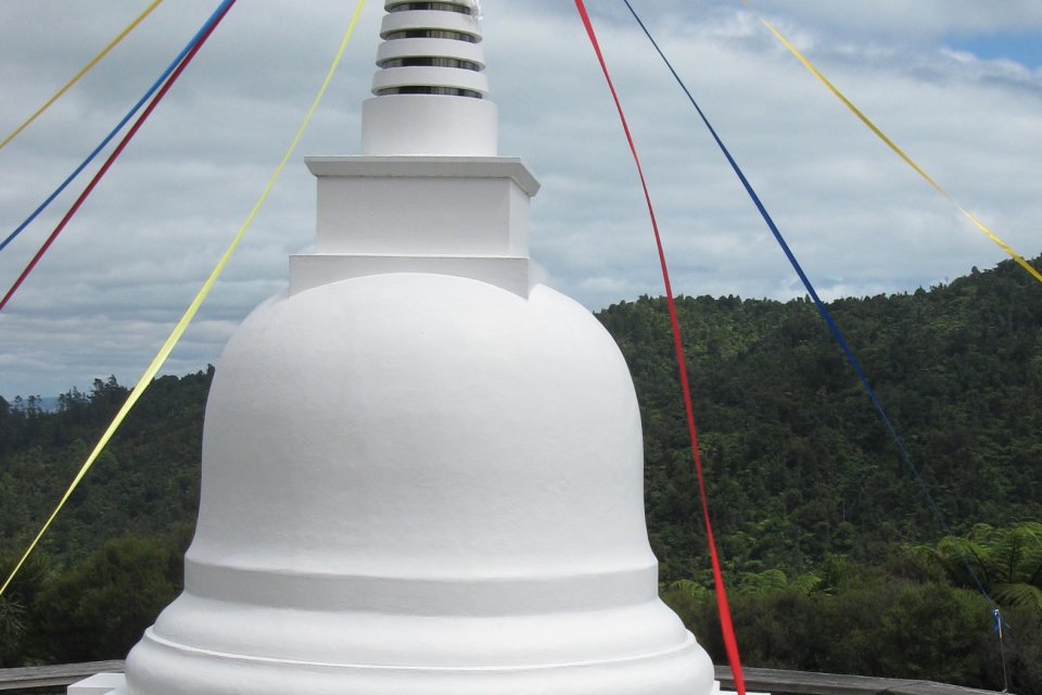 Picture of Viprasanna
