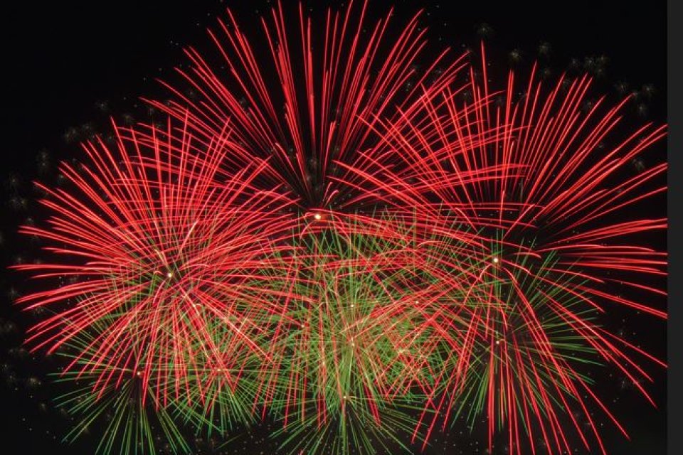 Pohutukawa fireworks