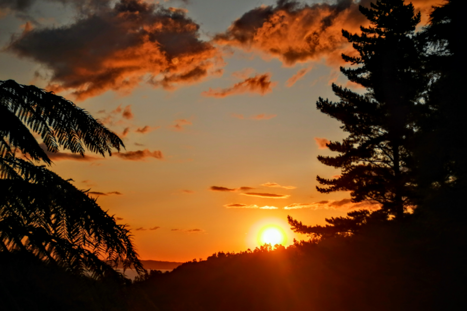 Sunset at Sudarshanaloka